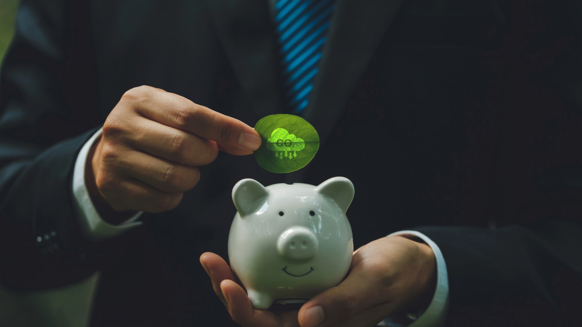 Carbon Credits Hero Image